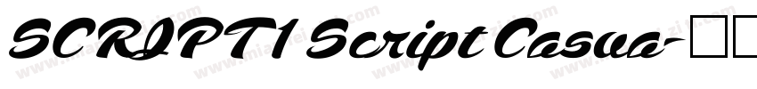 SCRIPT1 Script Casua字体转换